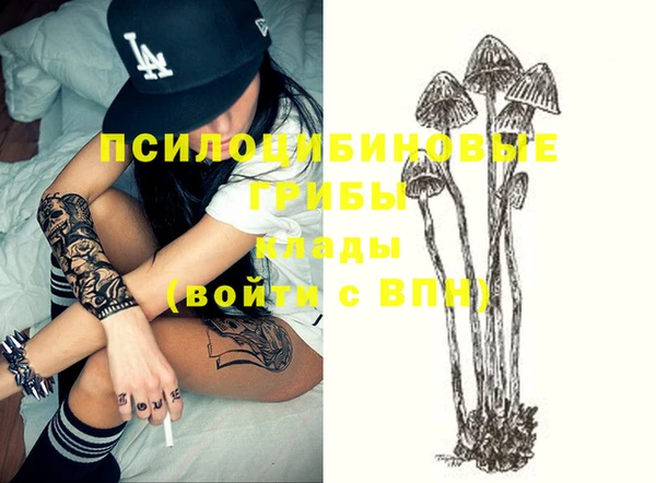 винт Шадринск