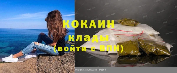 прущий лед Шали