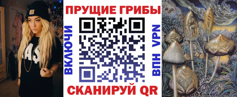 Псилоцибиновые грибы GOLDEN TEACHER  Купить где  Сокол 